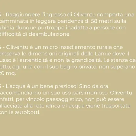 Oliventu - Tra Gli Ulivi Sul Mare